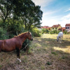 Отель Awesome Home in Fazana With Wifi and 1 Bedrooms, фото 12