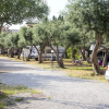 Отель Camping Degli Ulivi, фото 8