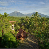 Отель Jiwa Jawa Resort Ijen, фото 43