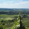 Отель Wein- Appartements Borth, фото 16