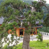 Отель Pyeongchang Goryeogoong Hanok Hotel, фото 19