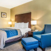 Отель Comfort Inn Atlanta Downtown South, фото 4