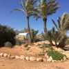 Отель Dar Jasmin Djerba, фото 28