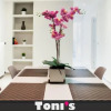 Отель TONI'S Spacious Apartment next to Acropolis Museum, фото 2