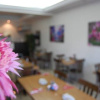 Отель Kocasinan Airport Hotel, фото 14