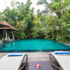 Отель Bayad Ubud Bali Villa, фото 13
