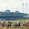 Отель Days Inn & Suites by Wyndham Sam Houston Tollway, фото 27