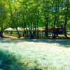 Отель Dipla Sto Potami (Next To The River), фото 15
