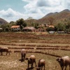 Отель Atlas Valley, фото 24