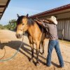 Отель Wildcatter Ranch & Resort, фото 46