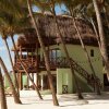 Отель Shangri-la Caribe Beach Village Resort, фото 14
