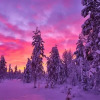 Отель Lapland Guesthouse, фото 24