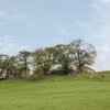 Отель Clove Cottage, фото 11
