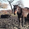 Отель Gite L'archipel, фото 20