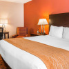 Отель Comfort Inn & Suites and Conference Center, фото 6