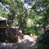 Отель Pure Wilderness in Amanzimlotzi Riverside Bush Tent in Limpopo, Kruger Park, фото 1