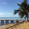 Отель Leaning Palm Resort, фото 22