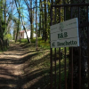 Отель B&B Al Boschetto, фото 1