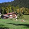 Отель Am Ferienbauernhof Schmiedbauer com Salzkammergut, фото 17