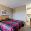 Отель Studio 51 Extended Stay Hotel, фото 5