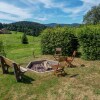 Отель Cozy Farmhouse in Herrischried with Meadows Nearby, фото 28