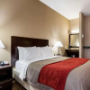 Отель Comfort Inn Kansas City, фото 5