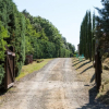 Отель Agriturismo la Vigna, фото 7