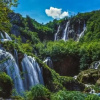 Отель Guest House Izbor Jandric, фото 8