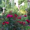 Отель Zamek w Czernej, фото 10