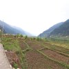 Отель OYO 13697 Home Exotic Hill View Studio Naggar Road, фото 13