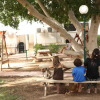 Отель Kibbutz Hotel Eilot Country Lodging, фото 27