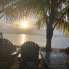 Отель Seacret Studios - Cozy Jamaican Retreat Apts by RedAwning, фото 14
