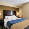 Отель Comfort Inn & Suites Lantana - West Palm Beach South, фото 6