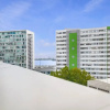 Отель Bright & Modern Auckland Cbd Apartment, фото 1