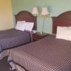 Отель Black Gold Motel, фото 6