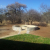 Отель House 114 Blyde Wildlife Estate, фото 9
