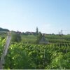 Отель Weinhof Gästehaus Radl, фото 36