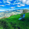 Отель Heartwood Mountain Sanctuary, фото 25