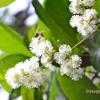 Отель Sweetheart Tree Homestay, фото 18