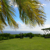 Отель Montpelier Plantation & Beach, фото 19