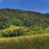 Отель Fehrenbach Waldhotel, фото 13