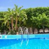Отель Cretan Paradise house - Exotic Pool, фото 16