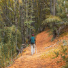 Отель El Refugio Ski & Summer Lodge, фото 15