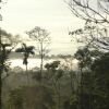 Отель Huella Verde Rainforest Lodge, фото 11