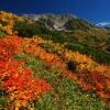 Отель Tateyama Kogen Hotel, фото 9