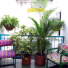 Отель Hostal Pajara Pinta - Hostel, фото 39