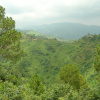 Отель Park Woods Shoghi, фото 7