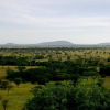 Отель Mbalageti Serengeti, фото 23