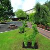 Отель Cahir House Hotel, фото 13