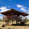 Отель Amboseli Eco Camp, фото 12